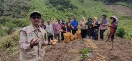 Suasana paska panen kentang di Kampung Pantan Sile, Kamis (11/9/2025).